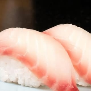 Snapper